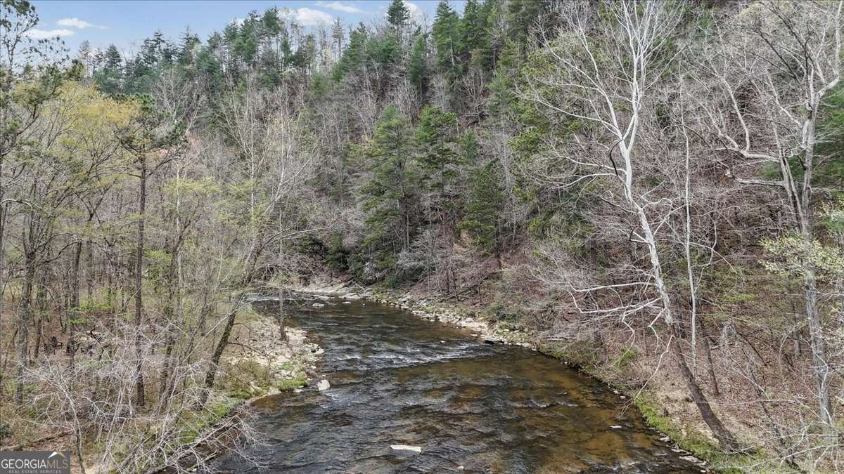 496 Meadow Lane Talking Rock - Photo 47