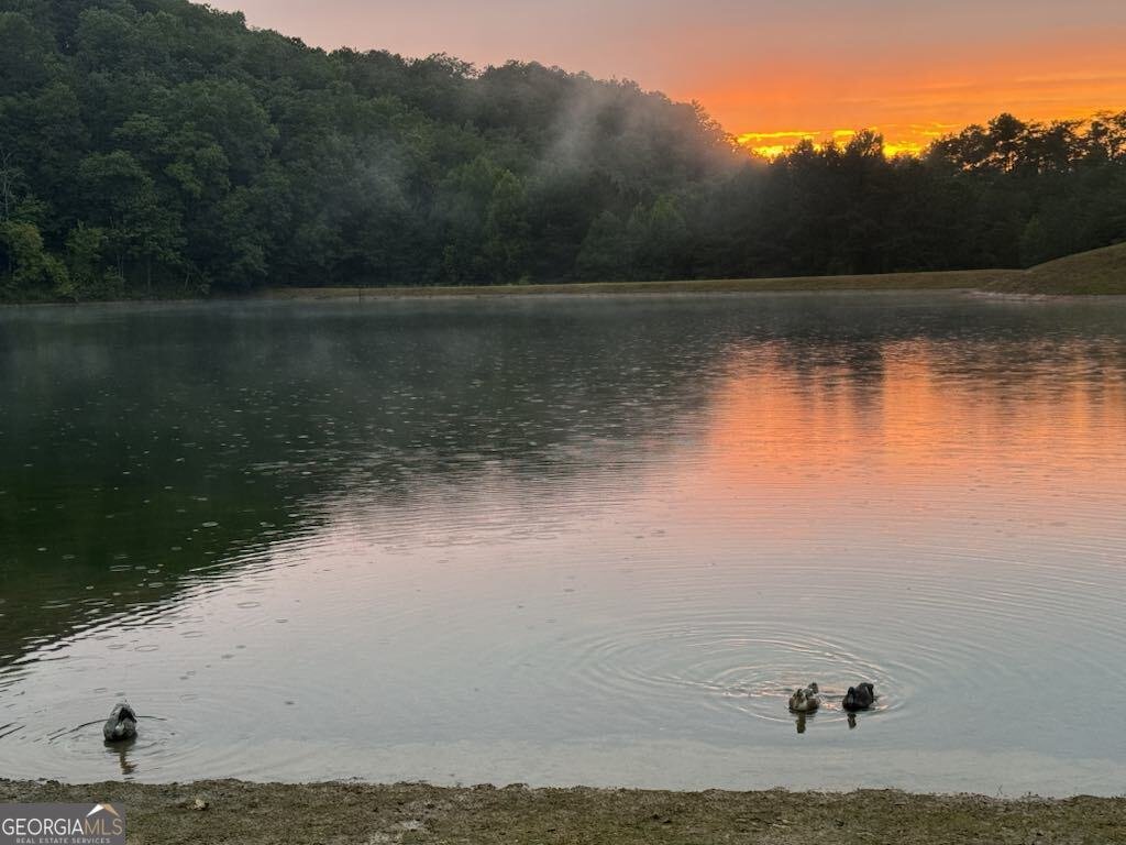 496 Meadow Lane Talking Rock - Photo 57