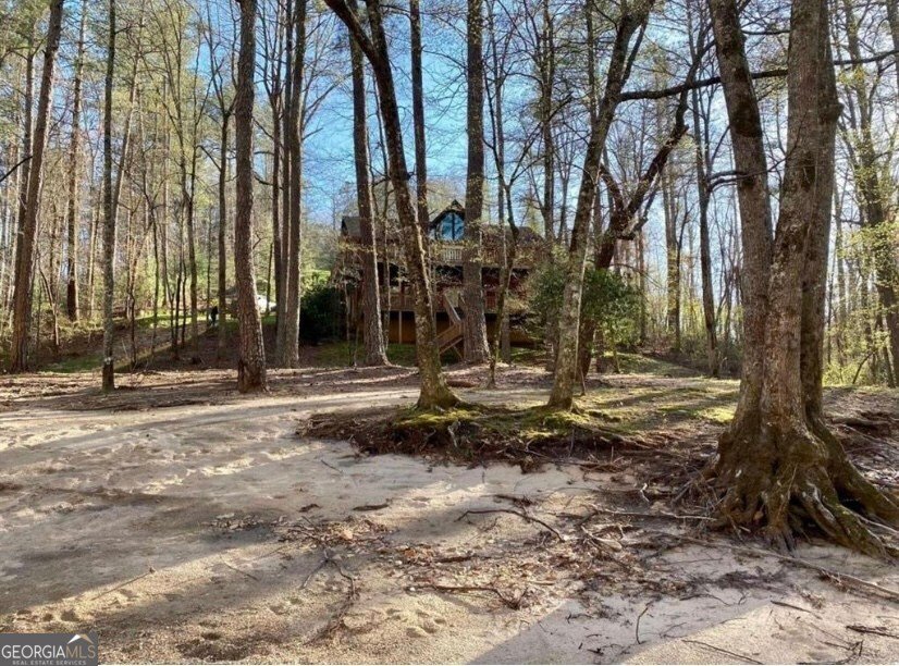 496 Meadow Lane Talking Rock - Photo 63