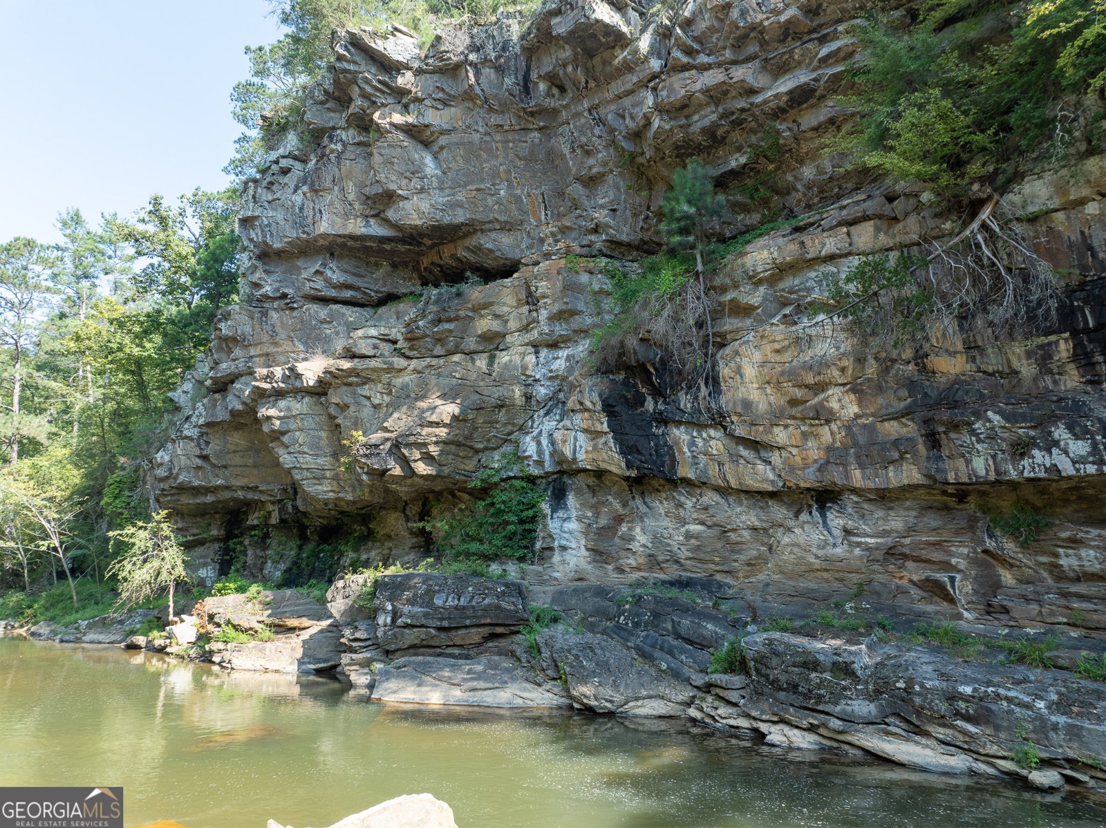 496 Meadow Lane Talking Rock - Photo 64
