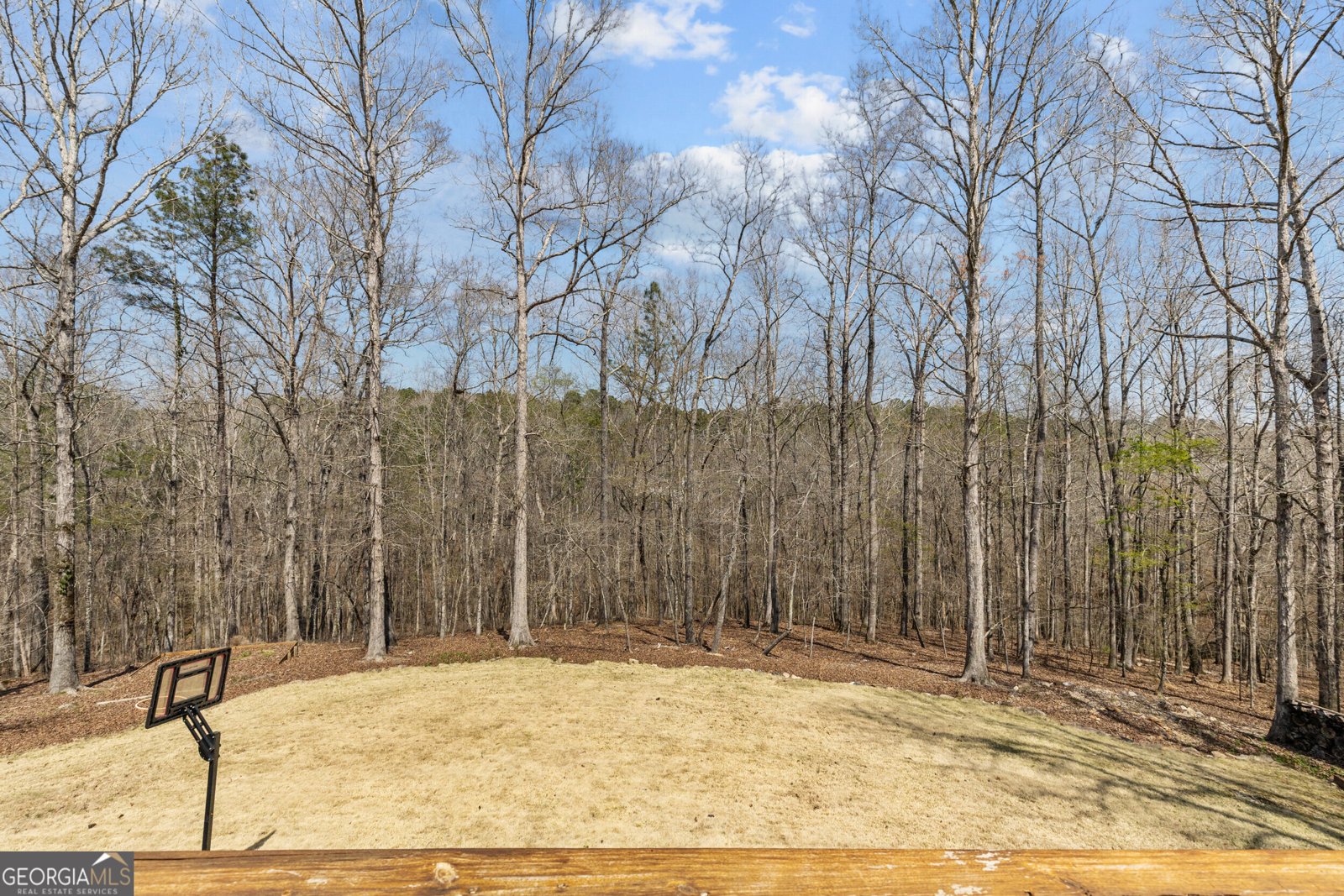 9810 Walnut Grove Trail Villa Rica - Photo 31