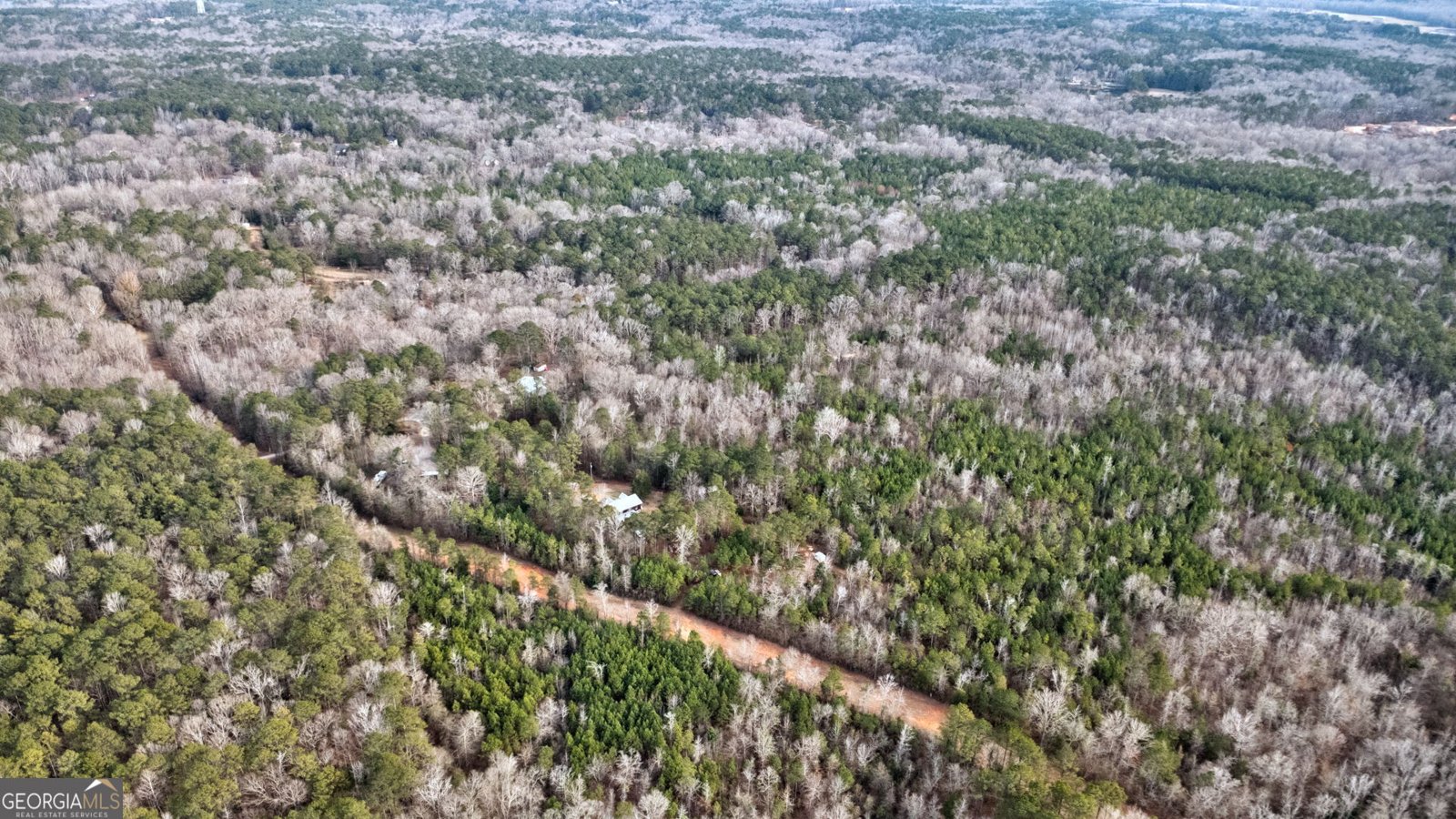 169 Cotton Lane Cataula - Photo 37