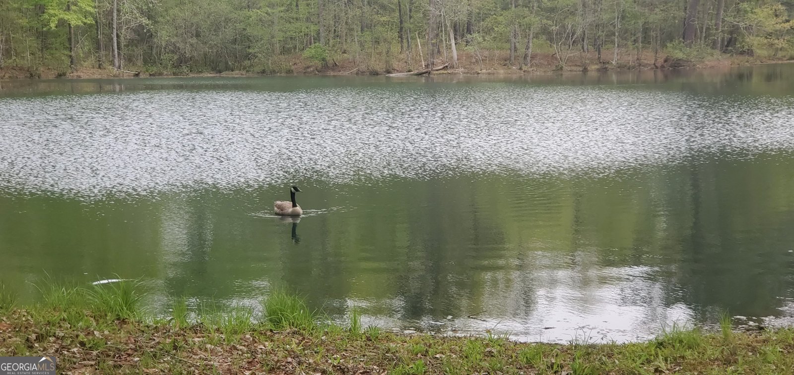 384 Enon Grove Road Franklin - Photo 10