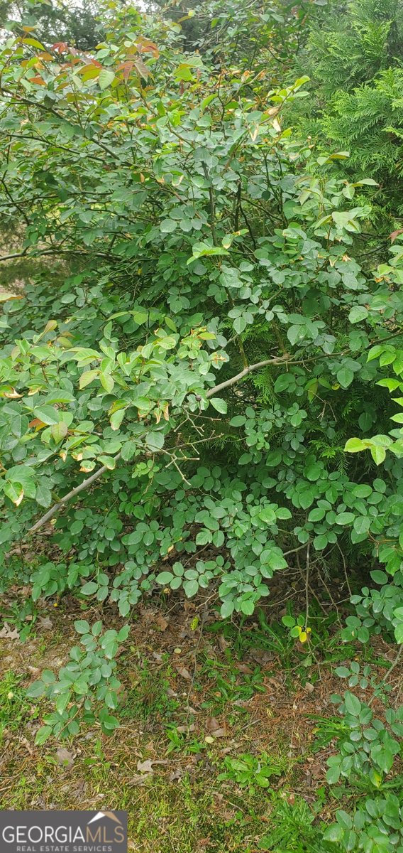 384 Enon Grove Road Franklin - Photo 100