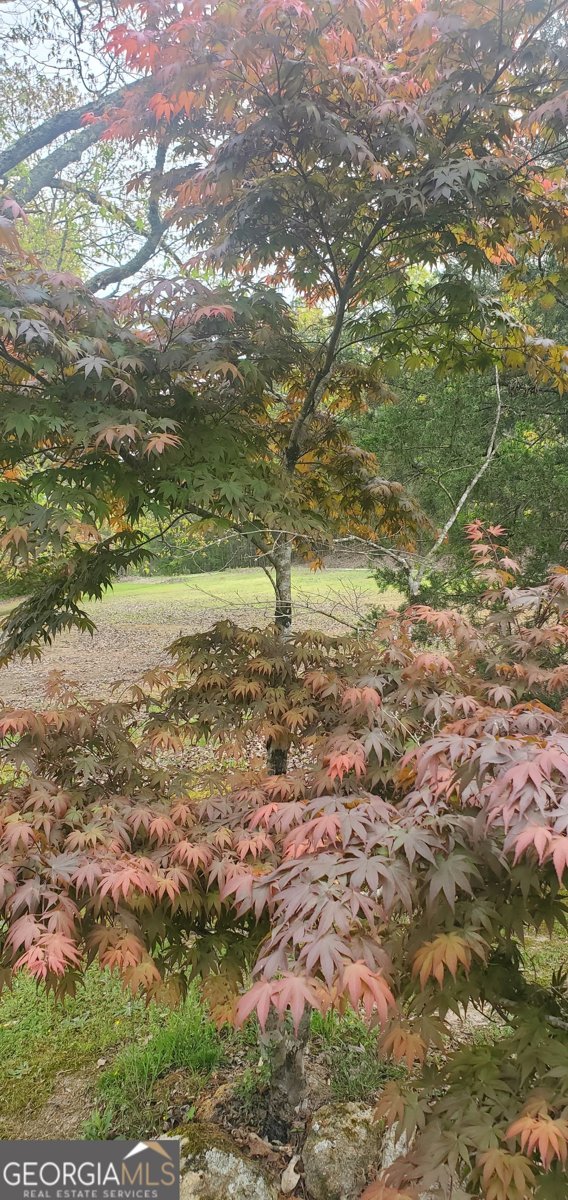 384 Enon Grove Road Franklin - Photo 101