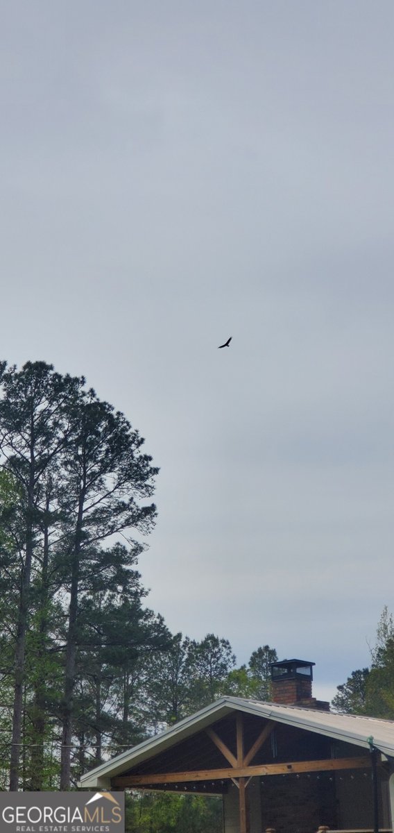 384 Enon Grove Road Franklin - Photo 102