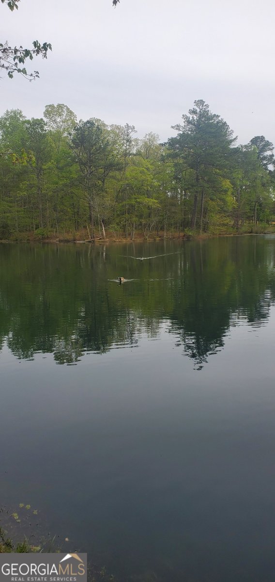 384 Enon Grove Road Franklin - Photo 103