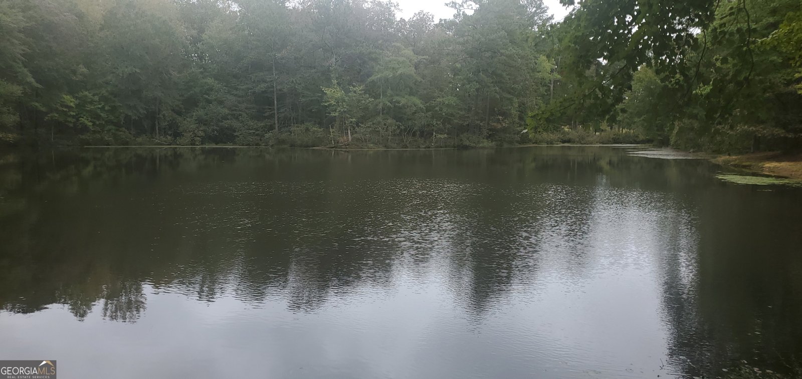 384 Enon Grove Road Franklin - Photo 104