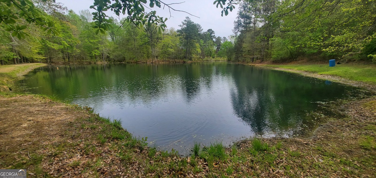 384 Enon Grove Road Franklin - Photo 105