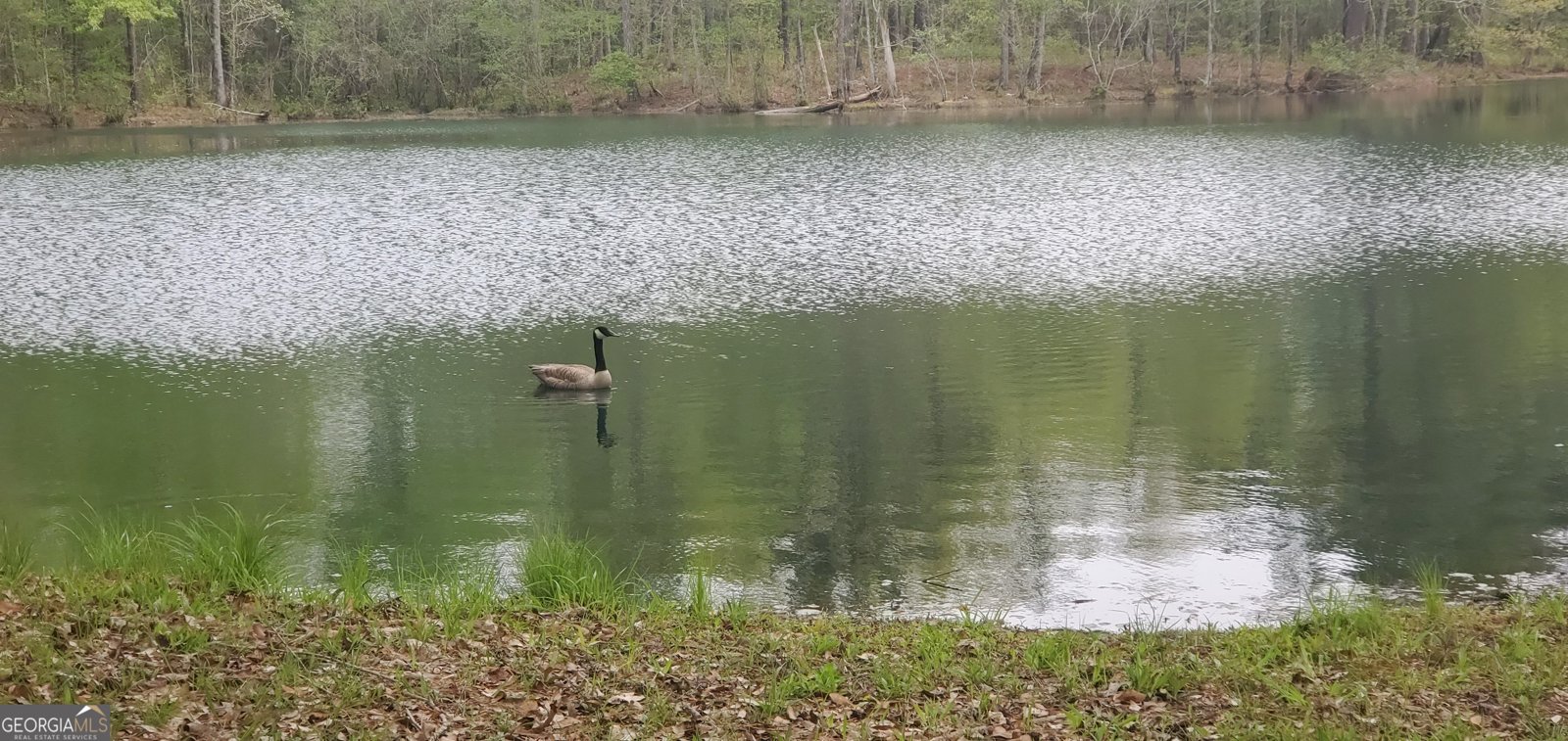 384 Enon Grove Road Franklin - Photo 106