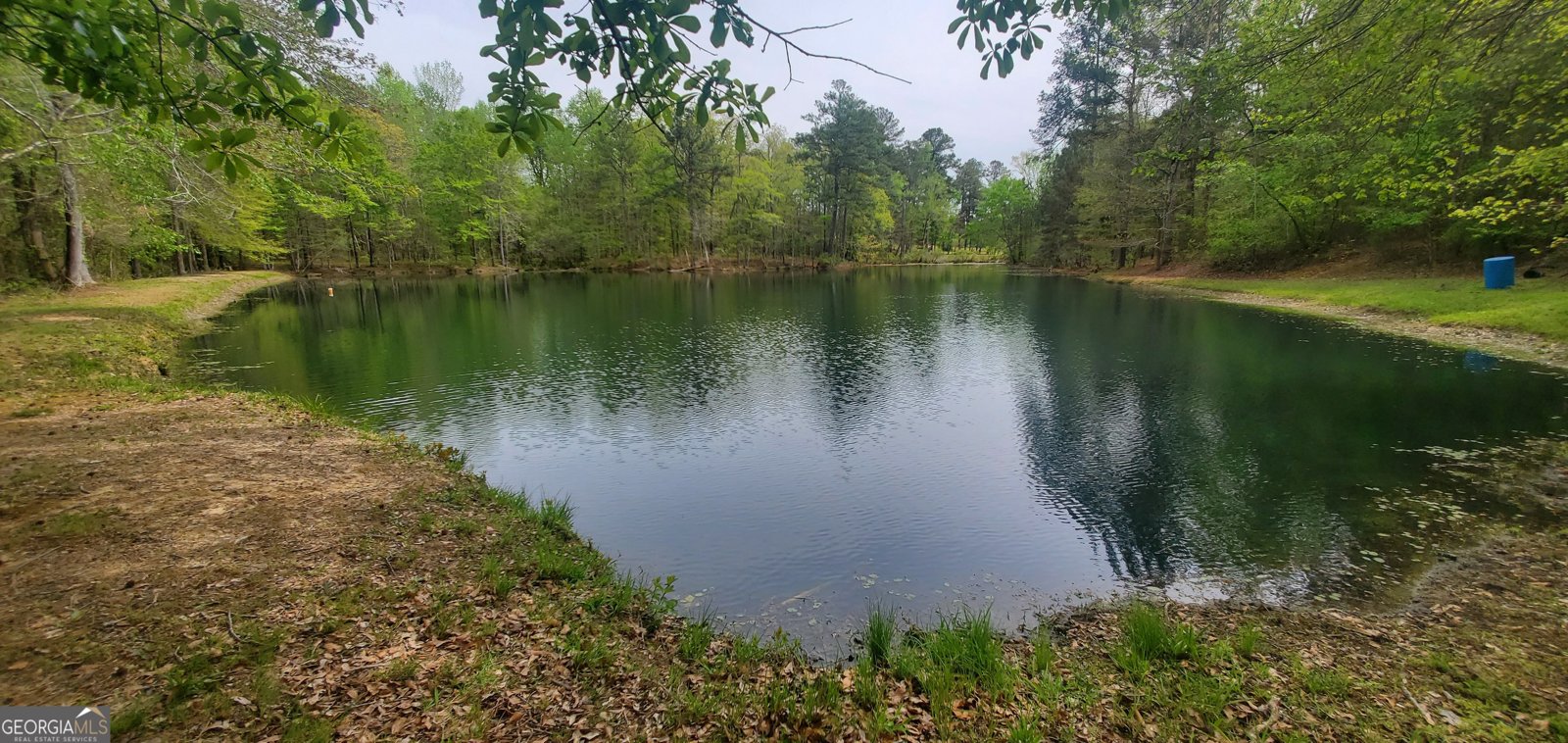 384 Enon Grove Road Franklin - Photo 11