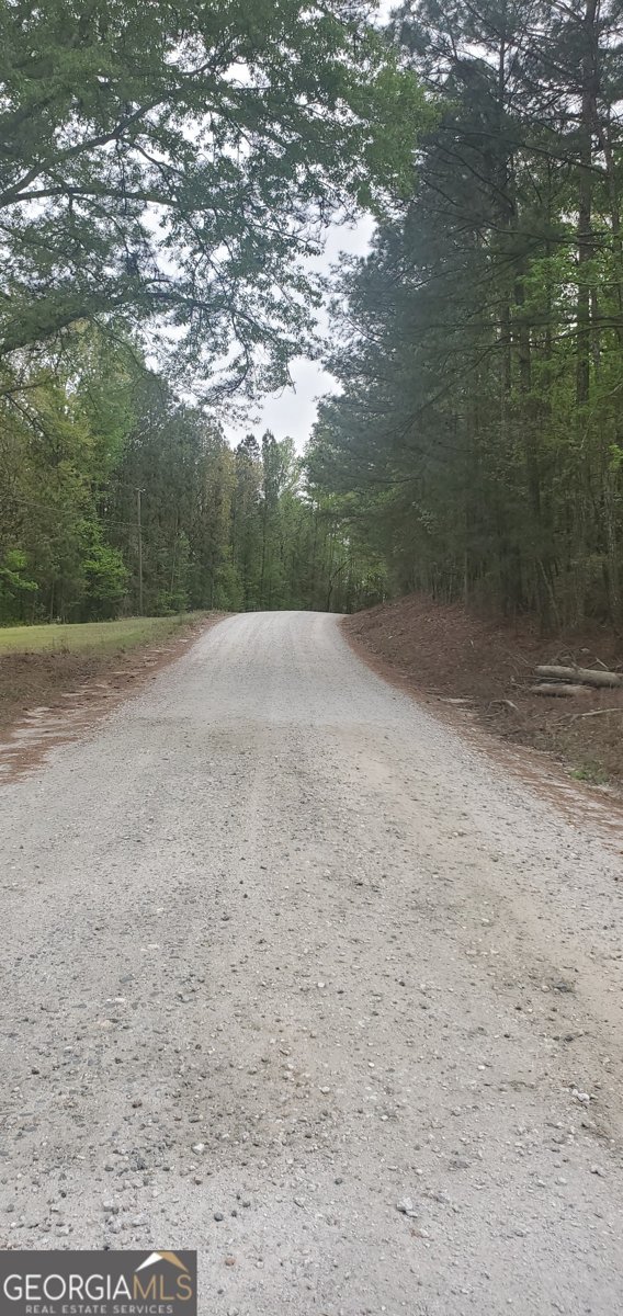 384 Enon Grove Road Franklin - Photo 114