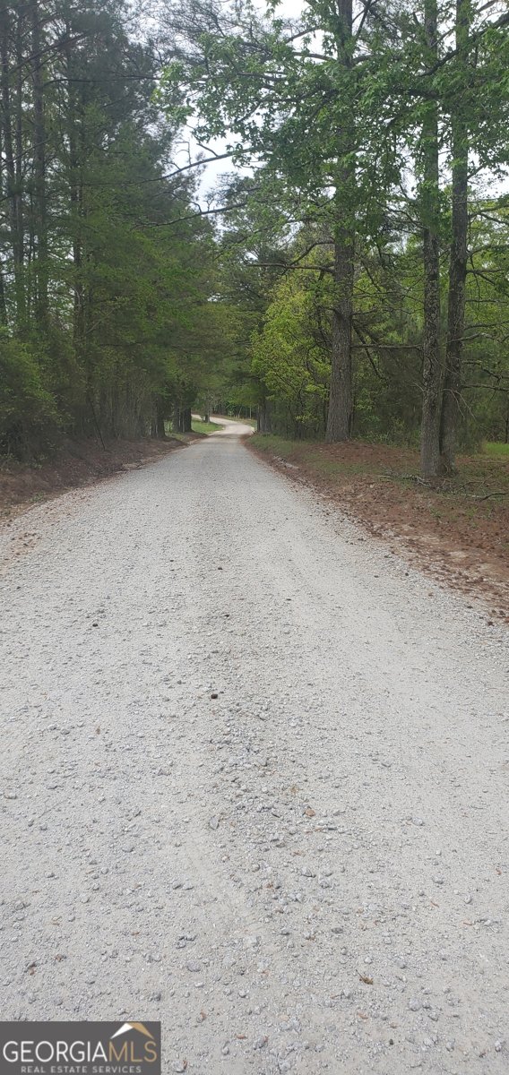 384 Enon Grove Road Franklin - Photo 115