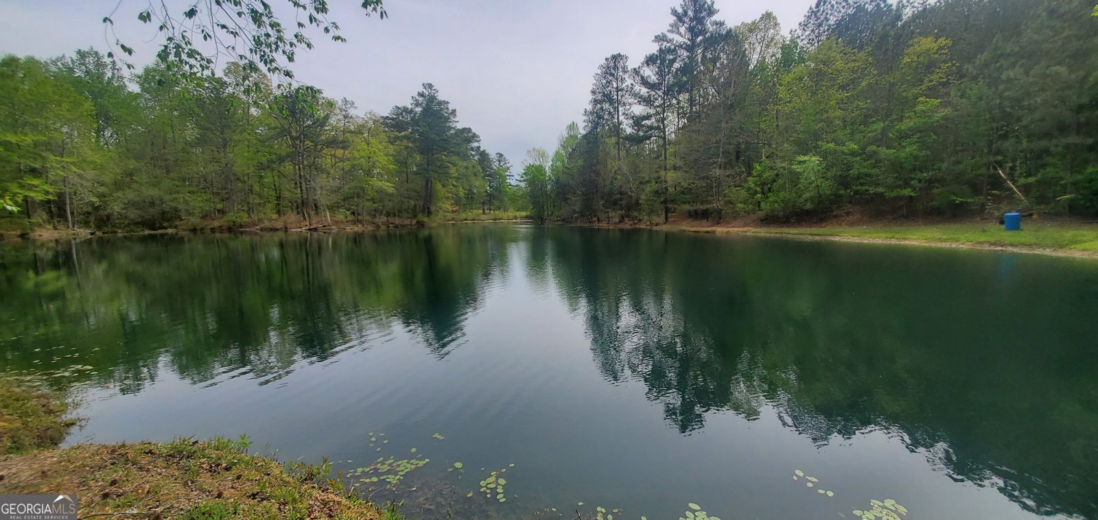 384 Enon Grove Road Franklin - Photo 117