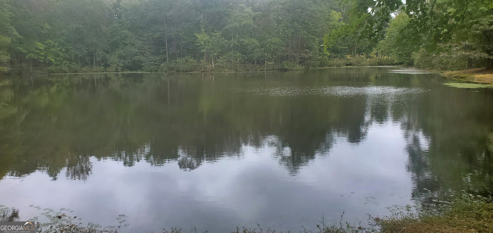 384 Enon Grove Road Franklin - Photo 12