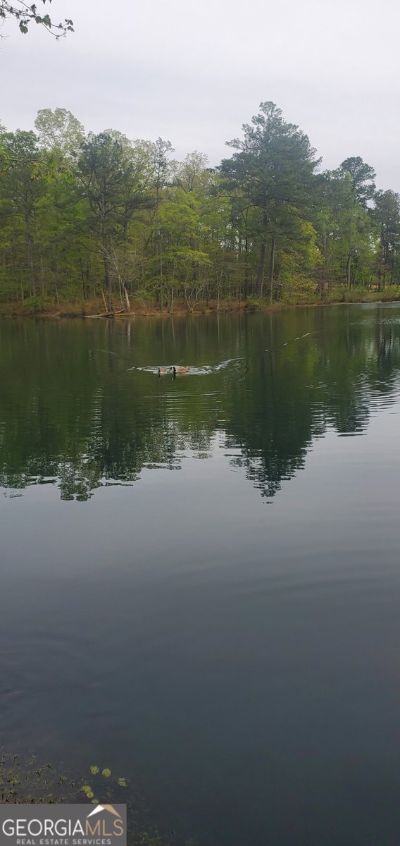 384 Enon Grove Road Franklin - Photo 13