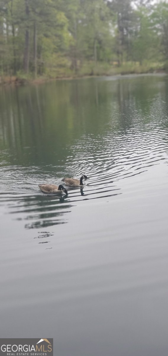 384 Enon Grove Road Franklin - Photo 14