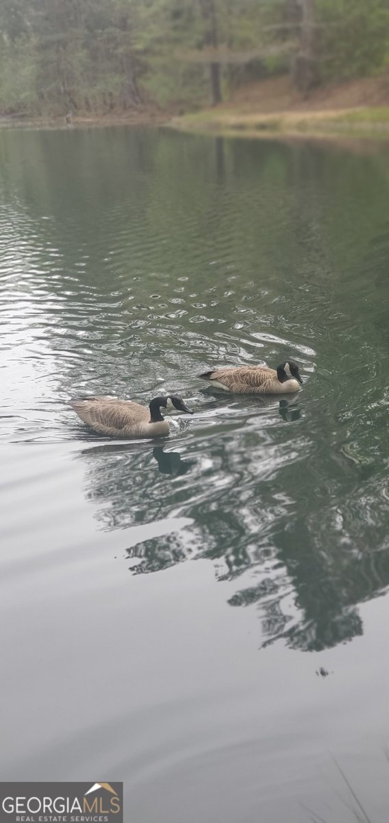 384 Enon Grove Road Franklin - Photo 15