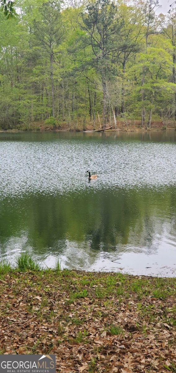 384 Enon Grove Road Franklin - Photo 16