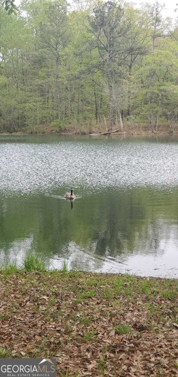 384 Enon Grove Road Franklin - Photo 17