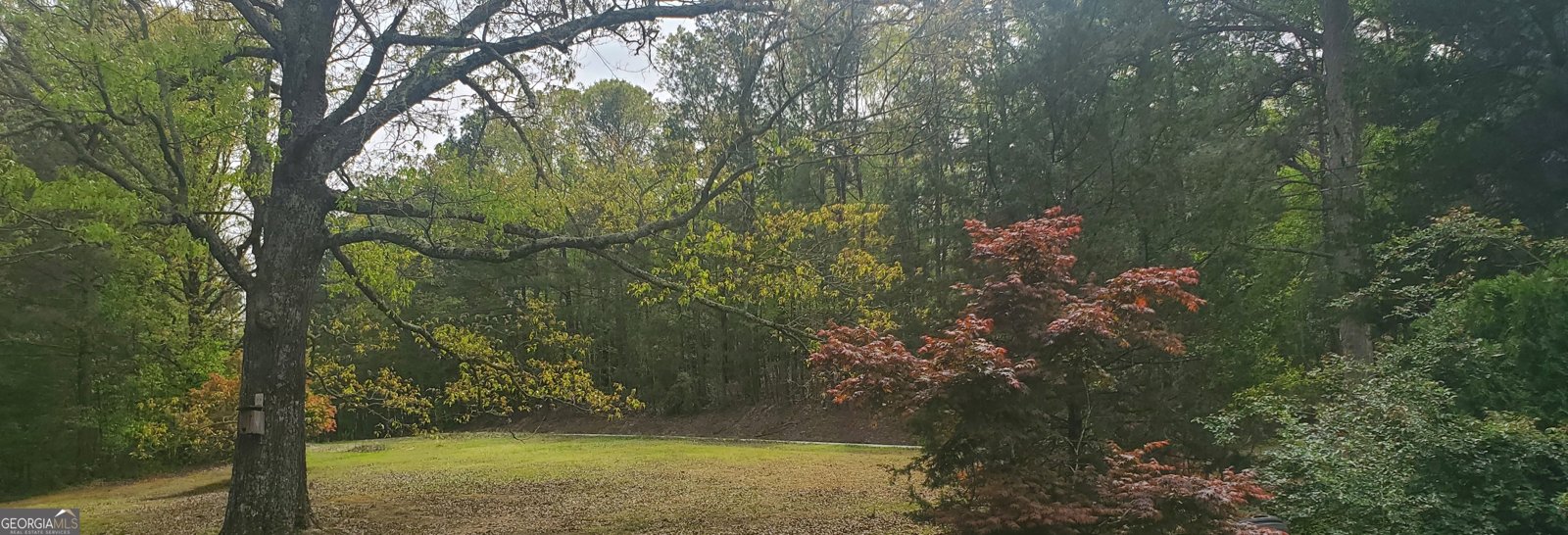 384 Enon Grove Road Franklin - Photo 23