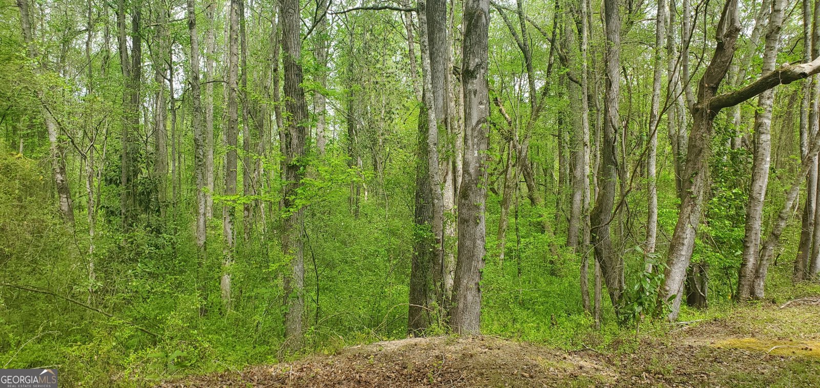 384 Enon Grove Road Franklin - Photo 25