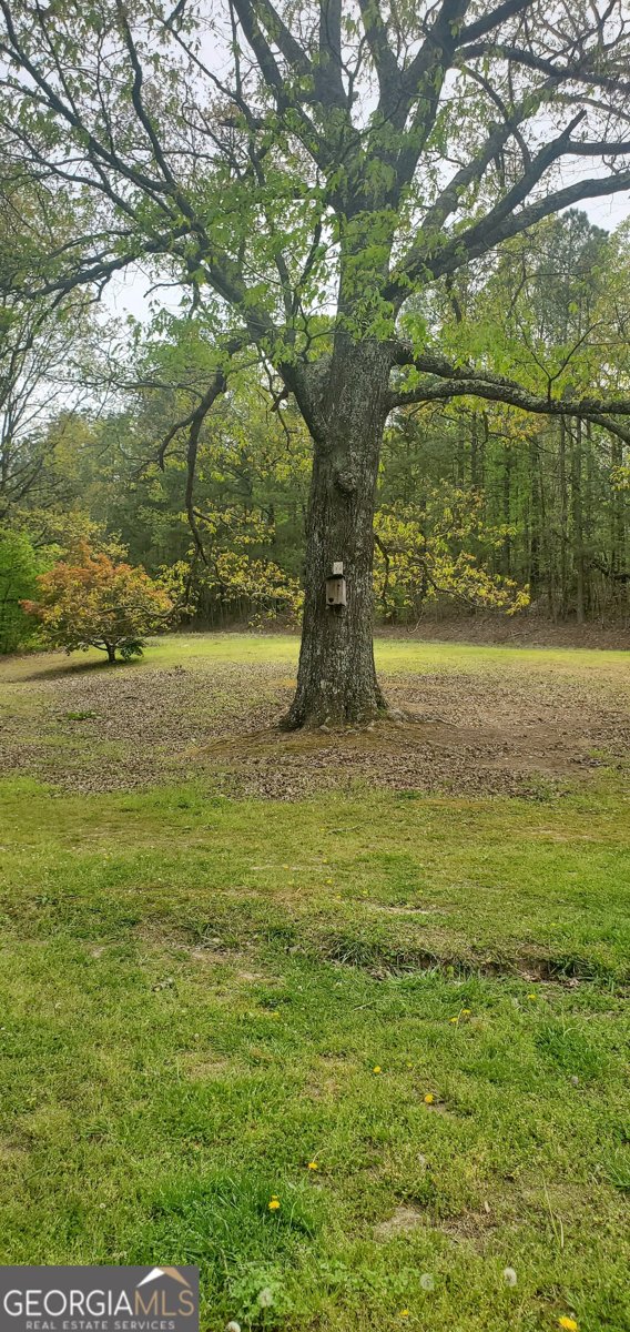 384 Enon Grove Road Franklin - Photo 28