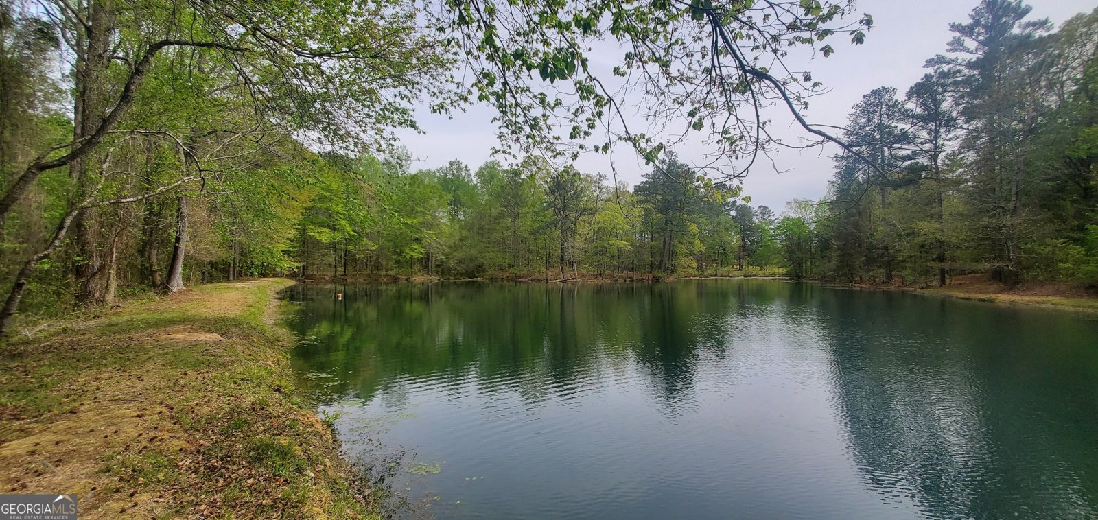 384 Enon Grove Road Franklin - Photo 6