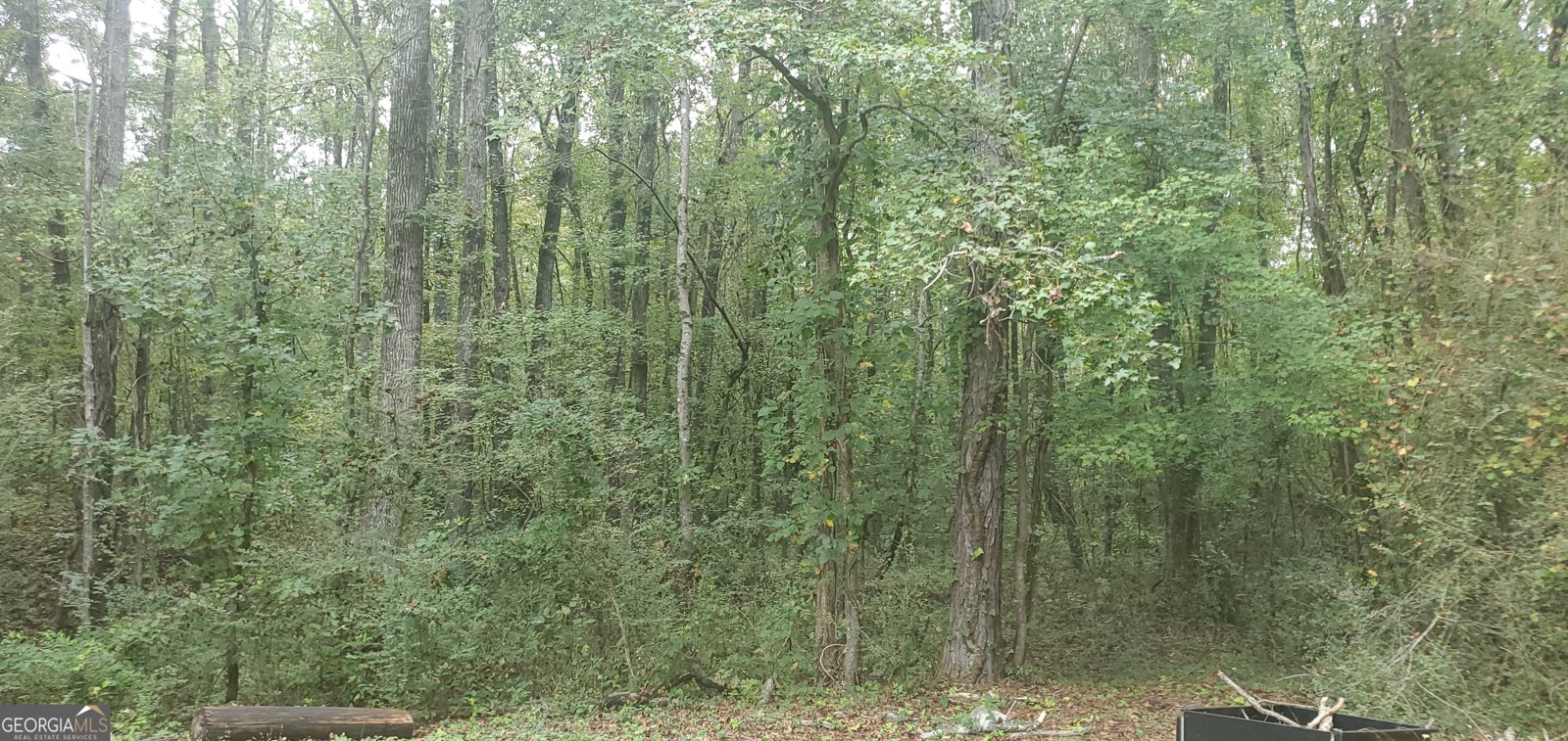 384 Enon Grove Road Franklin - Photo 69