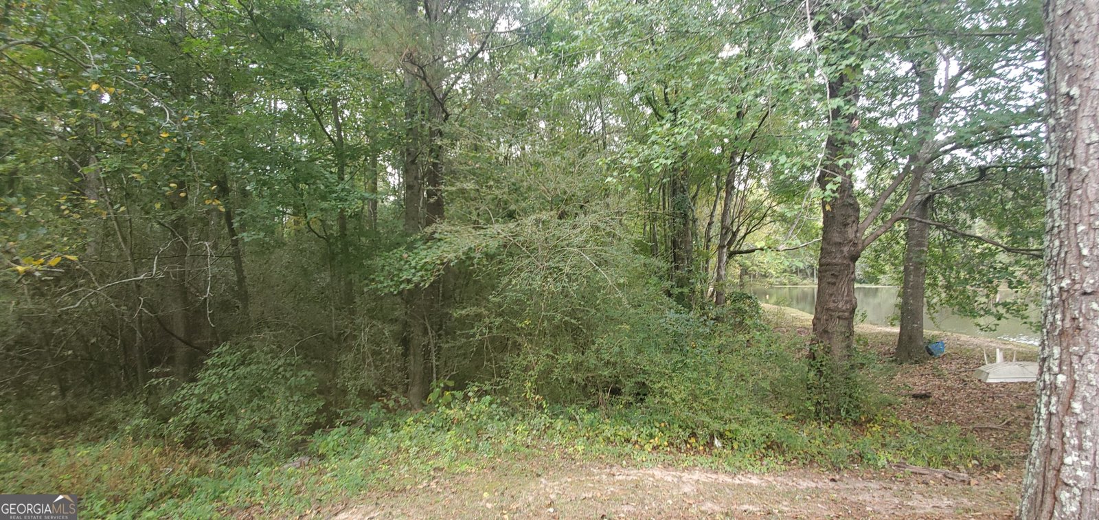 384 Enon Grove Road Franklin - Photo 73