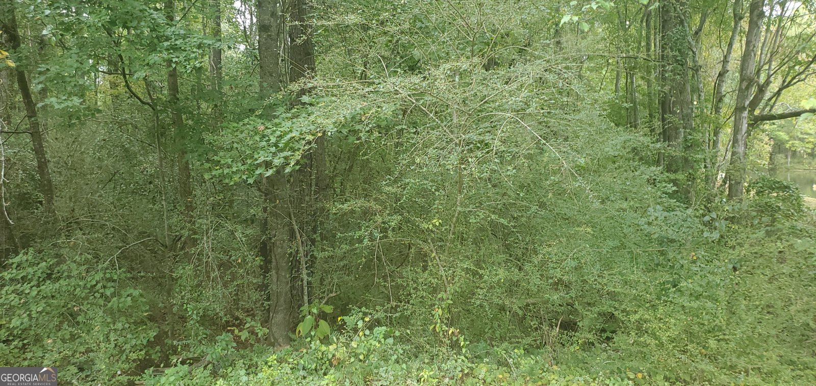 384 Enon Grove Road Franklin - Photo 74