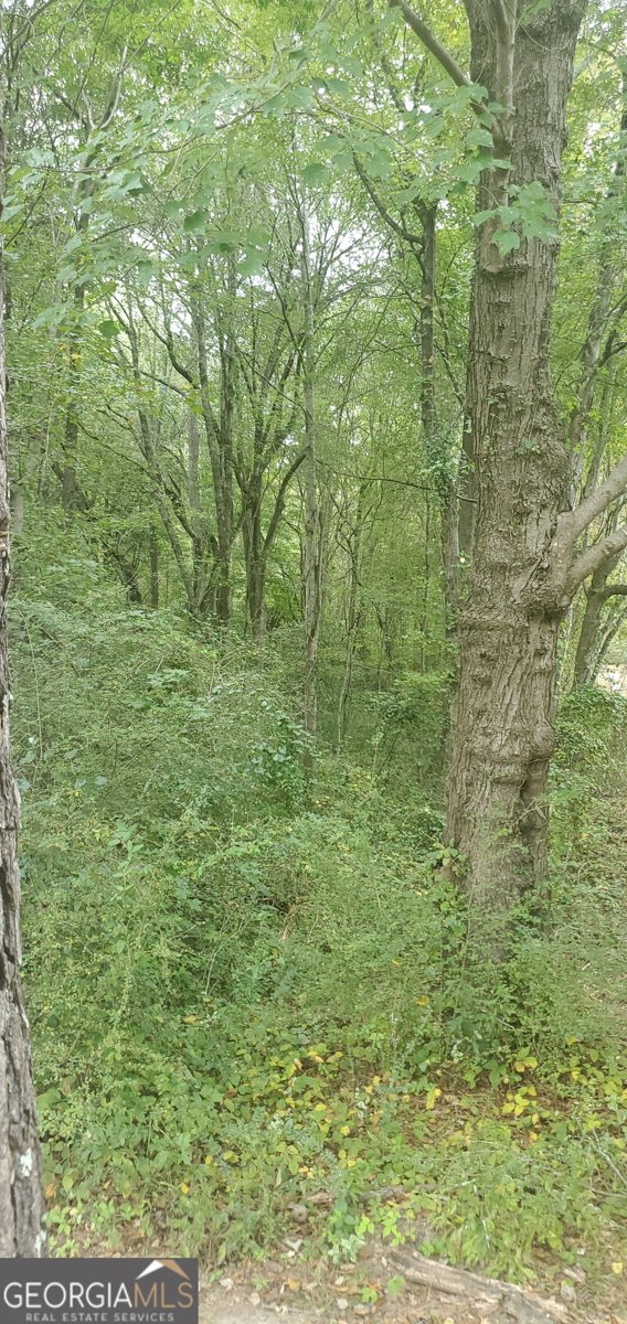 384 Enon Grove Road Franklin - Photo 75