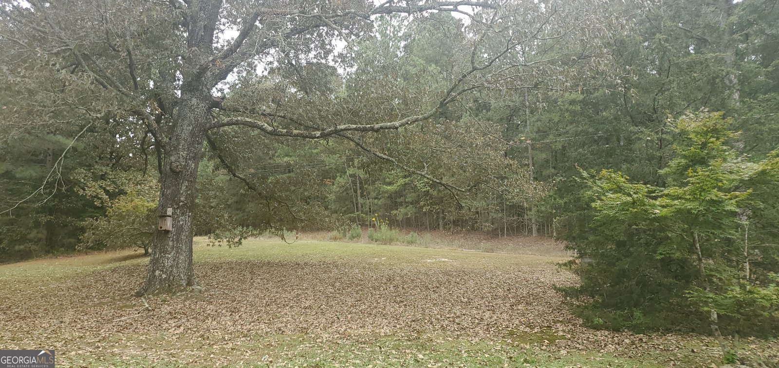 384 Enon Grove Road Franklin - Photo 77