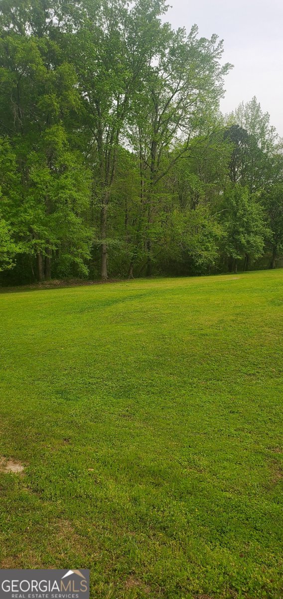 384 Enon Grove Road Franklin - Photo 83