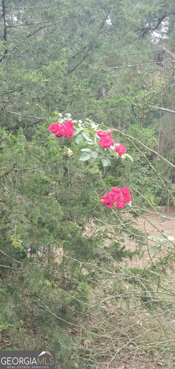 384 Enon Grove Road Franklin - Photo 84