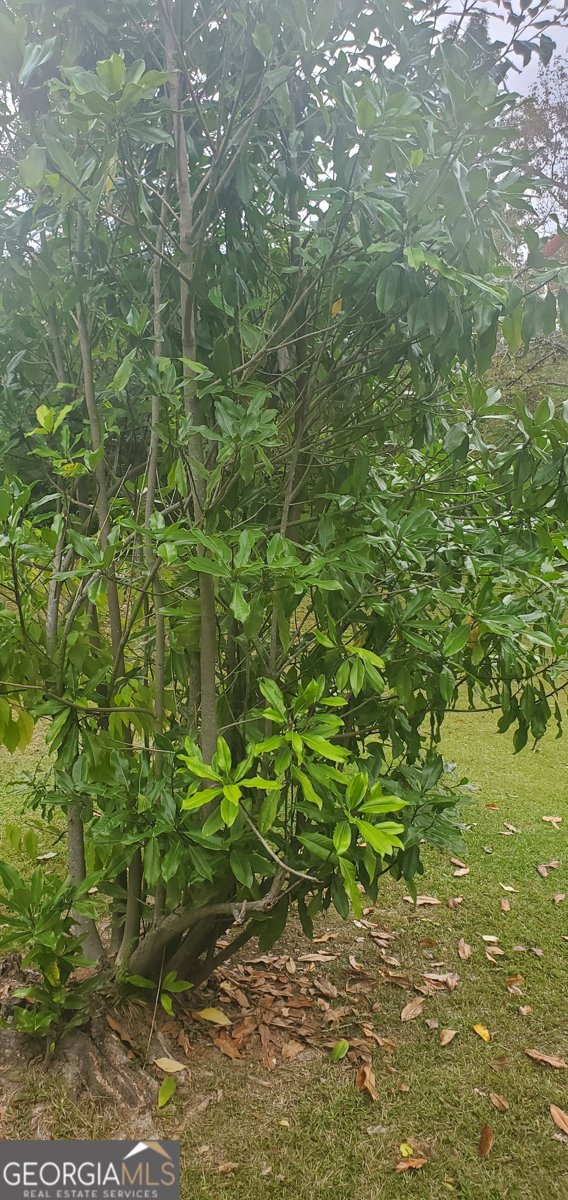 384 Enon Grove Road Franklin - Photo 85