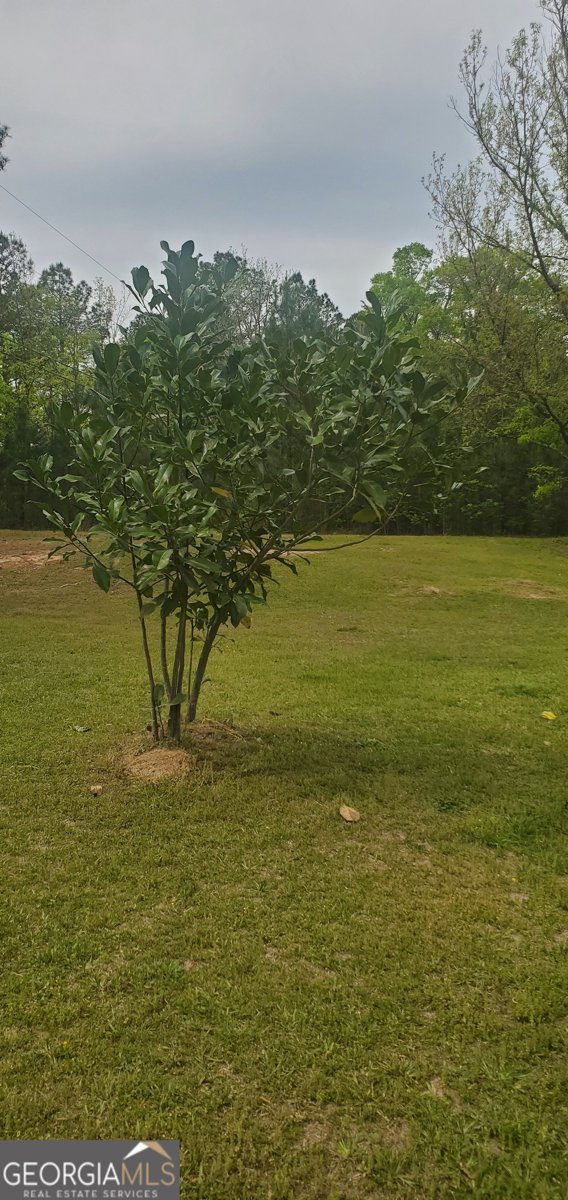 384 Enon Grove Road Franklin - Photo 86