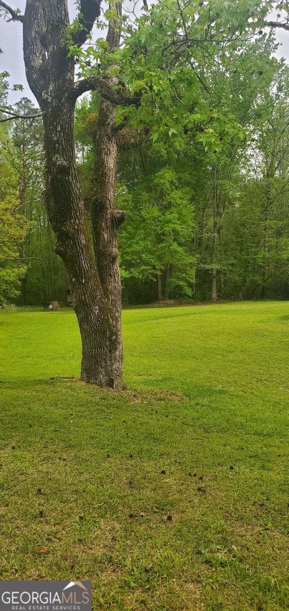 384 Enon Grove Road Franklin - Photo 87