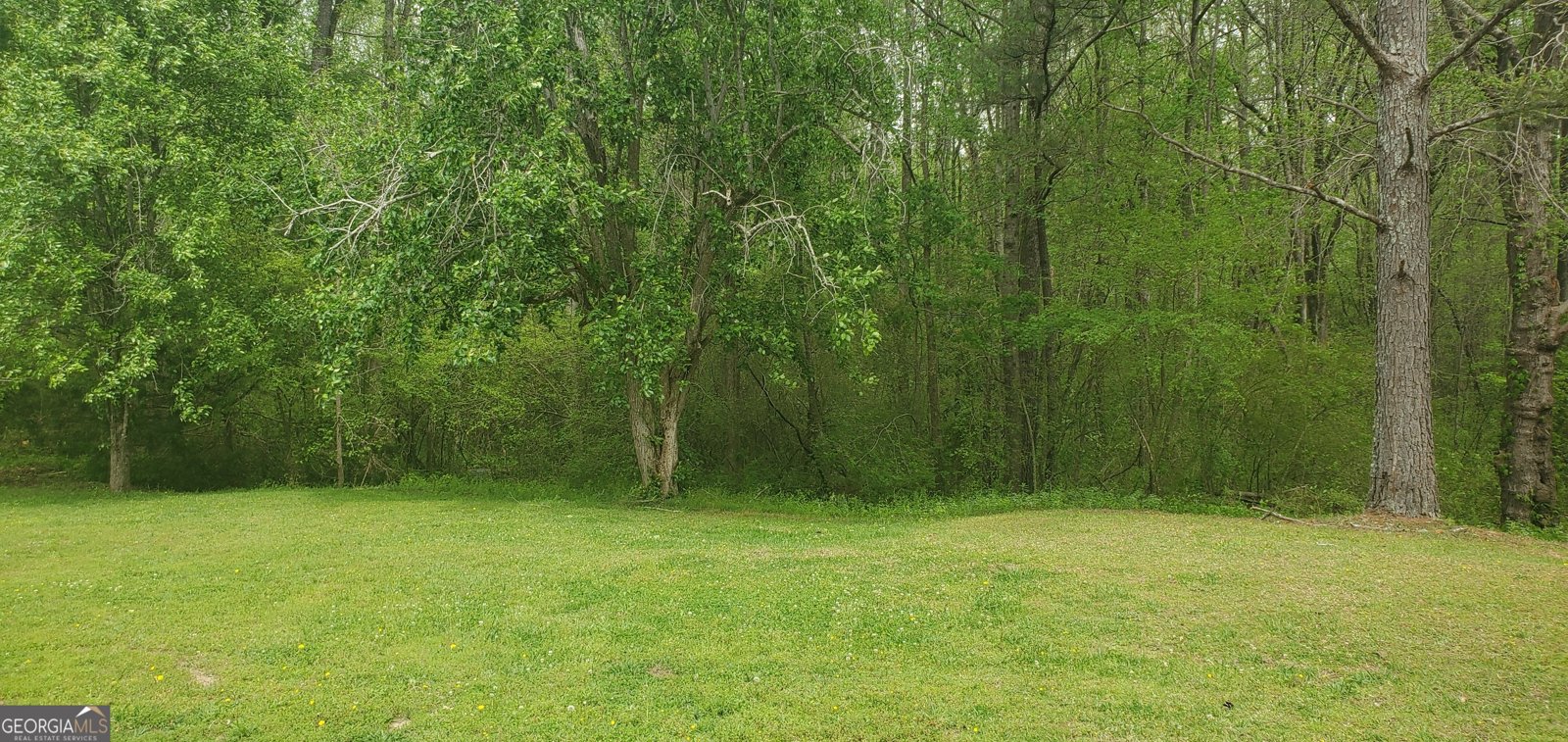 384 Enon Grove Road Franklin - Photo 89