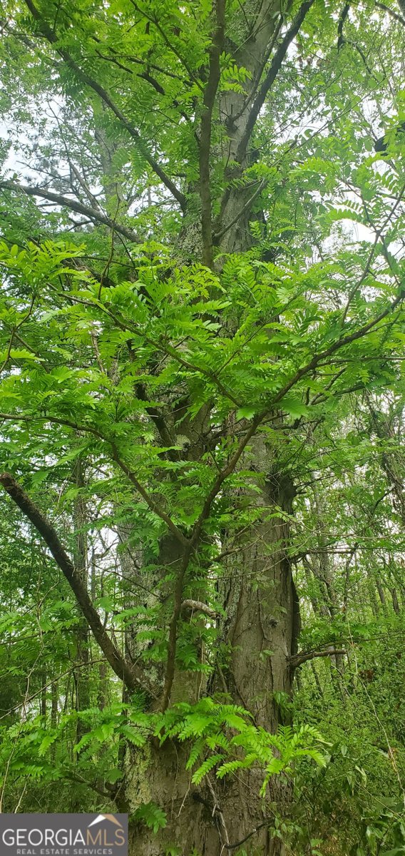 384 Enon Grove Road Franklin - Photo 93