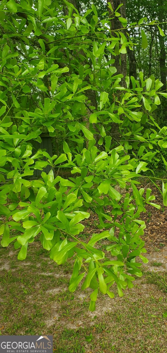 384 Enon Grove Road Franklin - Photo 94