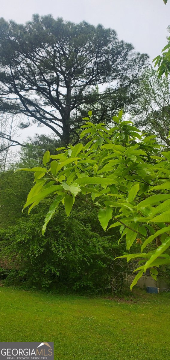 384 Enon Grove Road Franklin - Photo 95