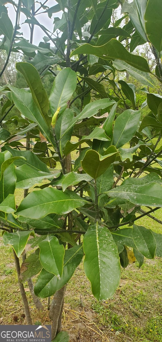 384 Enon Grove Road Franklin - Photo 96