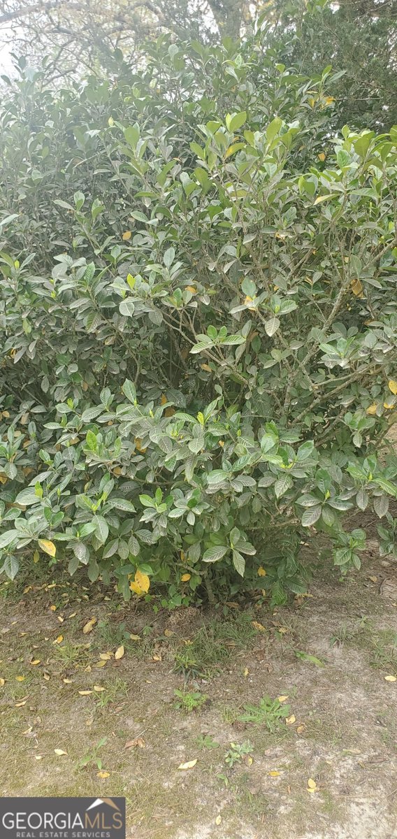 384 Enon Grove Road Franklin - Photo 97