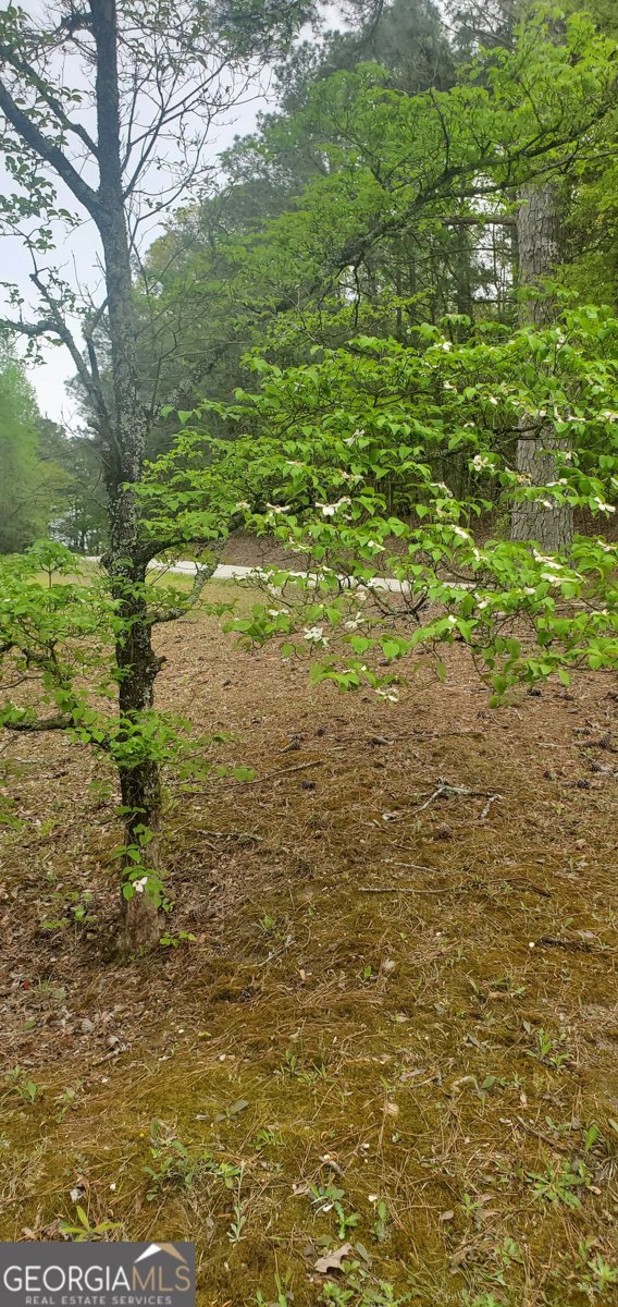 384 Enon Grove Road Franklin - Photo 98