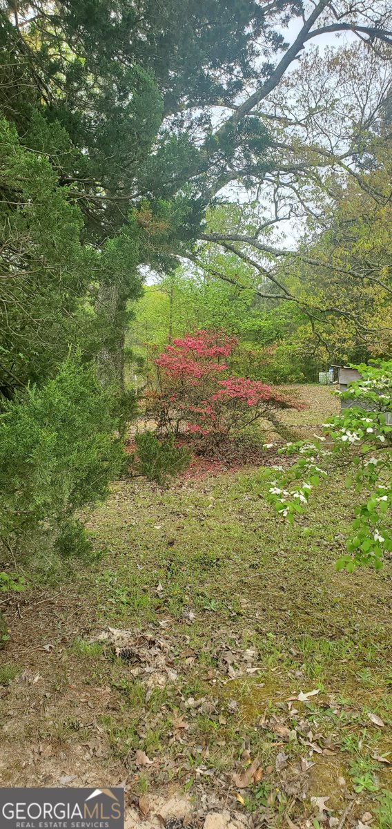 384 Enon Grove Road Franklin - Photo 99