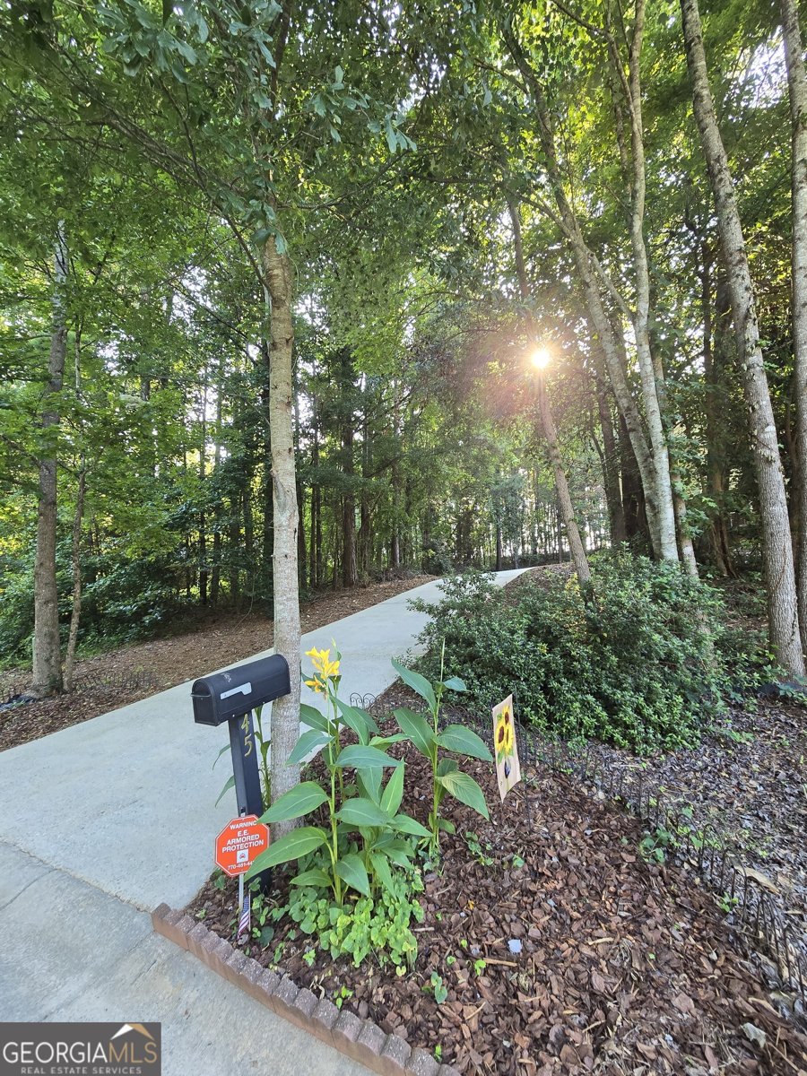 45 Ashley Woods Drive Newnan - Photo 45