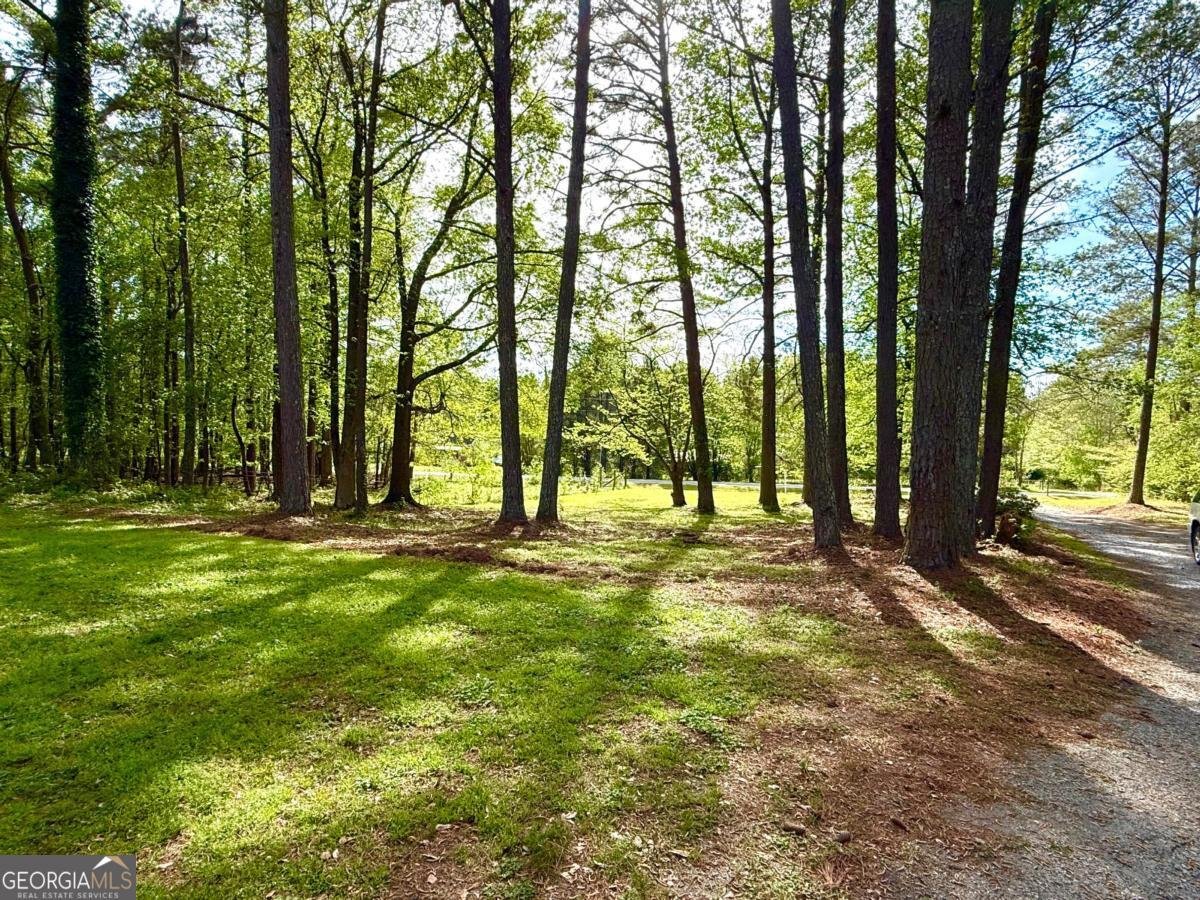 1177 Bob Smith Road Sharpsburg - Photo 12