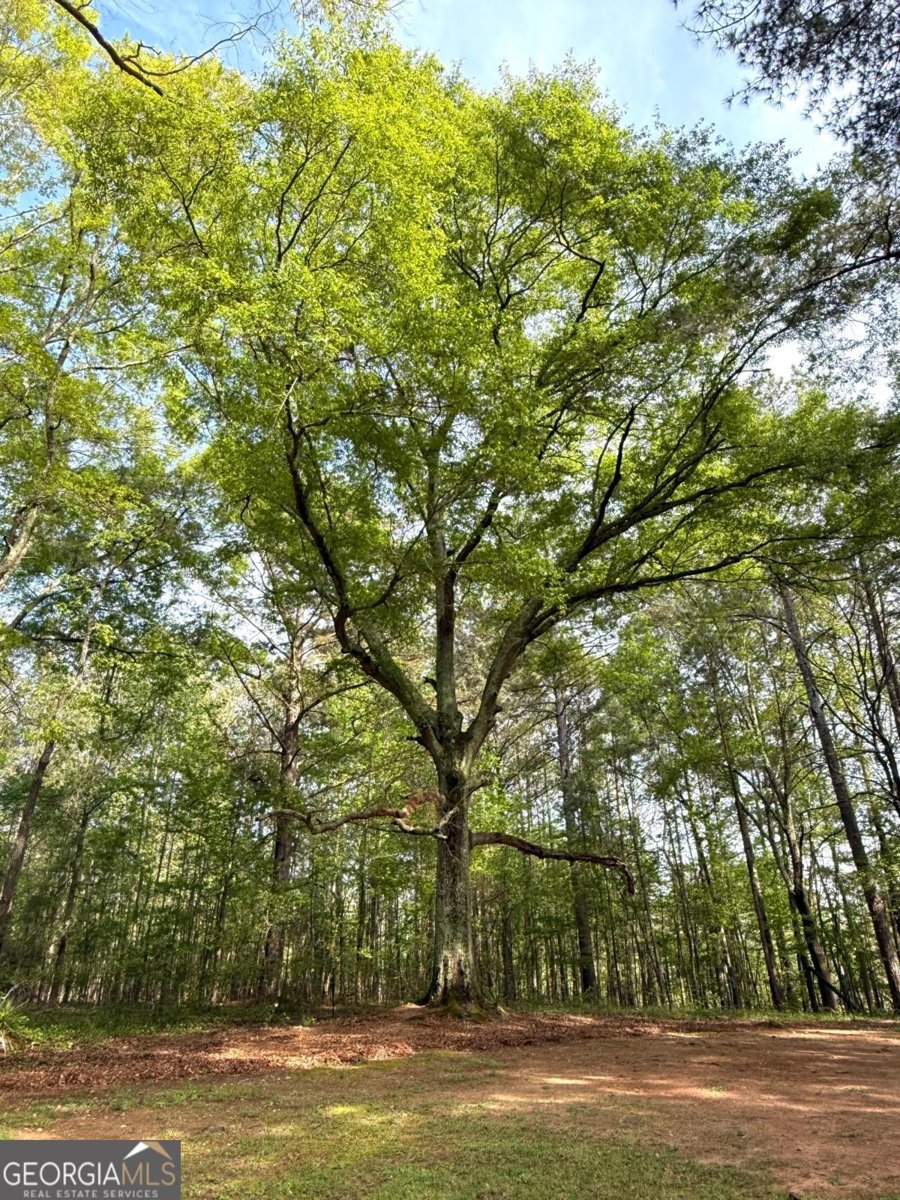 1177 Bob Smith Road Sharpsburg - Photo 55