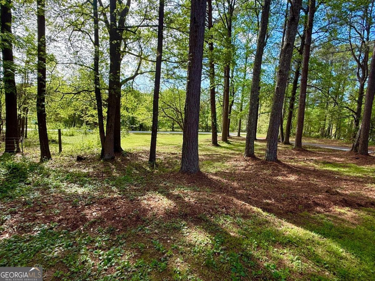 1177 Bob Smith Road Sharpsburg - Photo 56